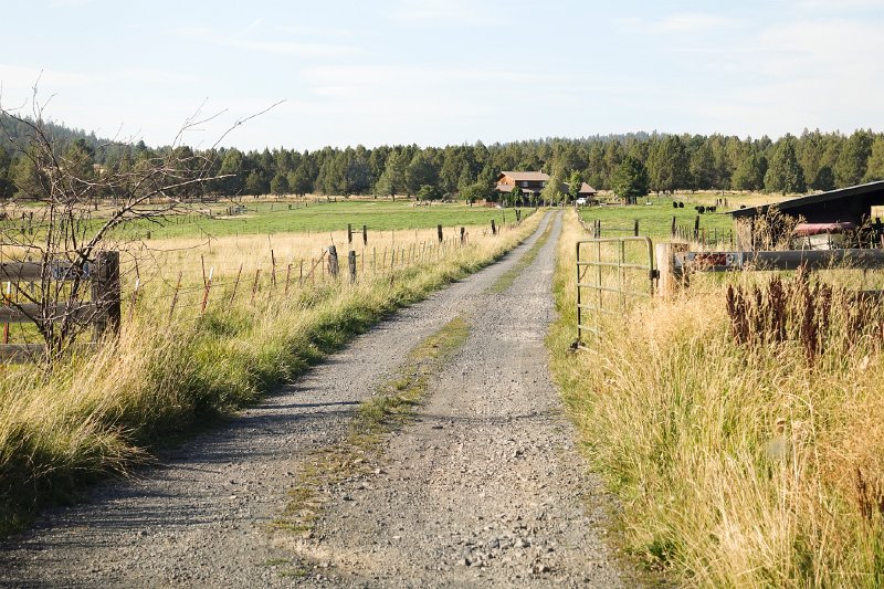 20150823_172517 RX100M4.jpg - Serene Farm, OR